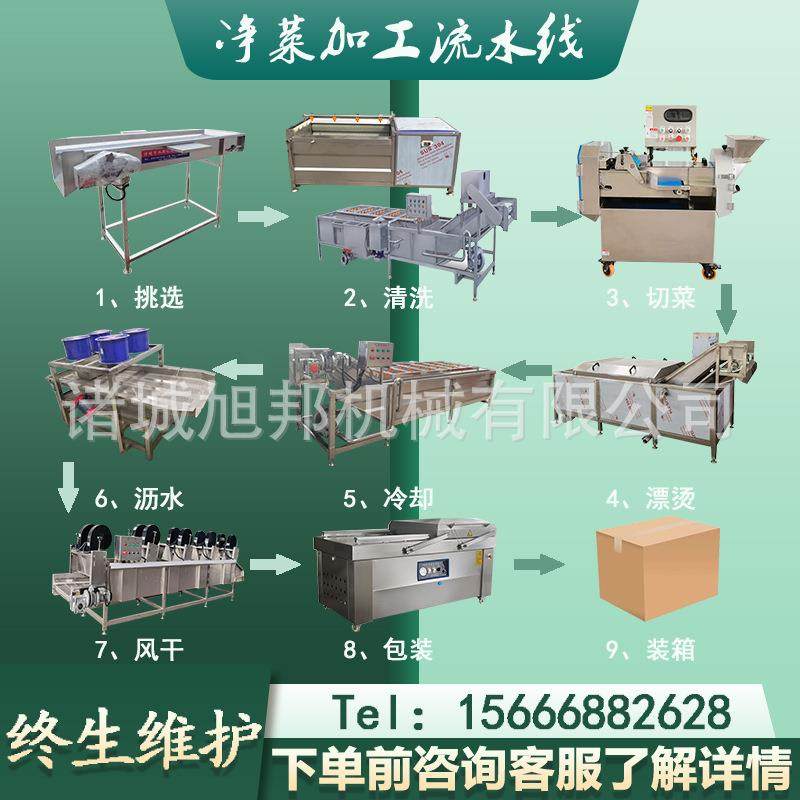 全自动气泡清洗机 黄瓜豆角喷淋式洗果洗菜机器 海带鱼虾类清洗机,清洗/食品/商业设备,果蔬加工设备,淘宝优惠券,粉丝福利购,淘宝优惠卷