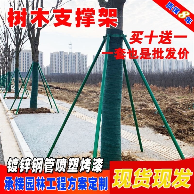 树木支撑架固定器镀锌钢管大树防风固定支架园林绿化苗木树支架杆