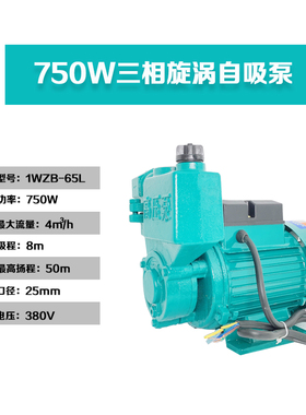 压泵380V三相电220V125W370W旋涡自吸泵1100W压工农业抽水机
