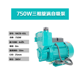 压泵380V三相电220V125W370W旋涡自吸泵1100W压工农业抽水机