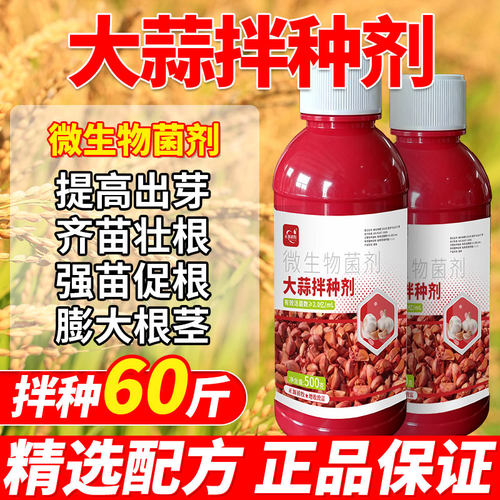 大蒜拌种剂生根催芽粒大苗爆快速生长防虫害防根腐大蒜专用催芽剂