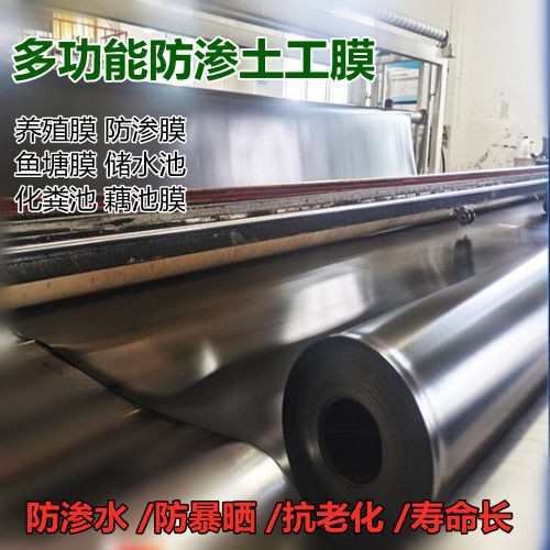 黑色膜鱼塘防渗膜藕鱼池防水布沼气池膜水产畜牧农业养殖膜土工膜