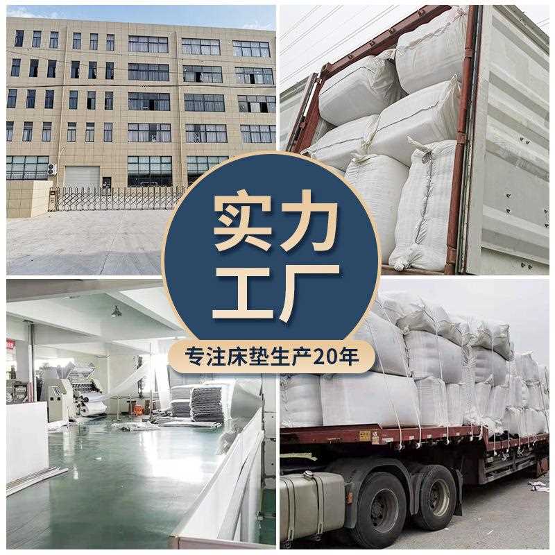 新款直销床垫学生宿舍单人舒适柔软褥子酒店软垫被可折叠榻榻米地