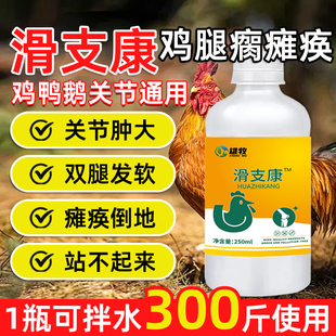 雄牧正品 滑支康养鸡软脚瘫痪关节肿大站不起来趴窝鸡鸭鹅养殖用