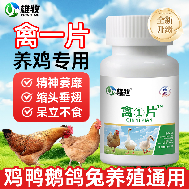 雄牧禽一片鸡鸭鹅感冒拉稀呼噜用