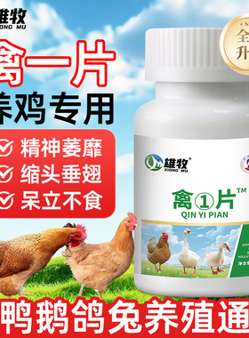 雄牧正品禽一片养鸡用精神不振感冒咳嗽呼噜缩头闭眼家禽鸡病