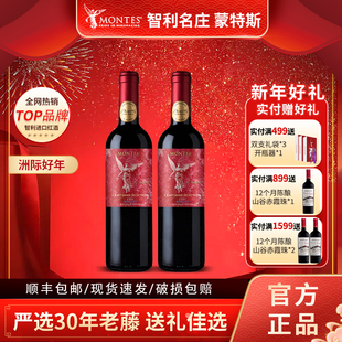蒙特斯MONTES官方正品匠心老藤梅洛干红葡萄酒原装原瓶进口喜宴用