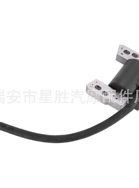 高压包 Briggs & Stratton Armature 695711 802574 796964