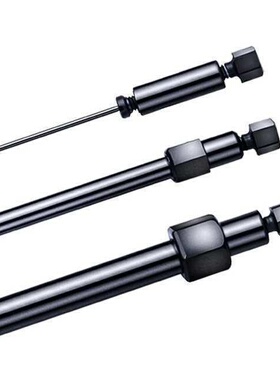 046115 赛默飞DionexCarboPacPA10 IC 色谱柱 糖类分析保护柱