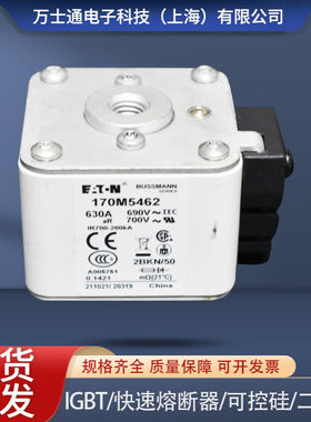 熔断器170M5458 170M5459 170M5460 170M5461 170M5462 170M5463