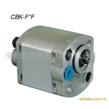 CBK-F2.7/3.2/3.3/4.2/5.8/6.8/7.8/8.0 举升机齿轮泵
