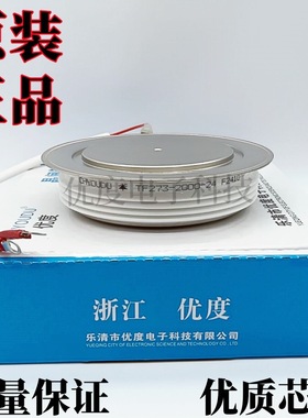 快速晶闸管 TF273-2000-24 TF273-2000