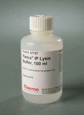 RD150_FRE赛默飞染色微粒（红色），150μm，1g