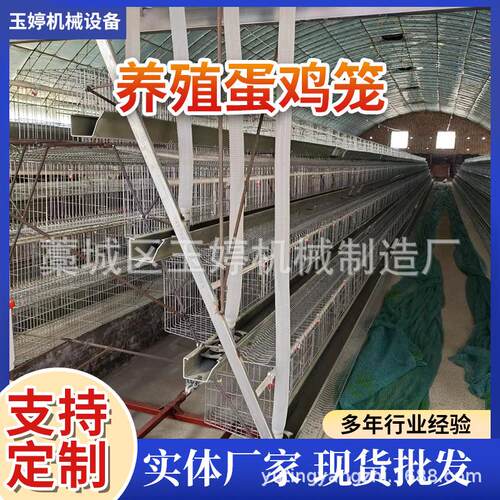 蛋鸡笼厂家镀锌养殖蛋鸡笼 层叠式 阶梯式 鸡笼全自动养殖场