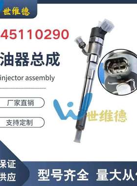 0445110290共轨喷油器0445110126适用现dai发动机 33800-27900
