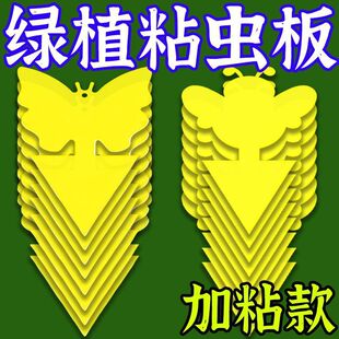 小黄板粘虫板双面诱虫板黏沾虫小飞虫粘板家用强力粘蝇纸花卉蝴蝶
