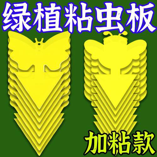小黄板双面强力粘虫板