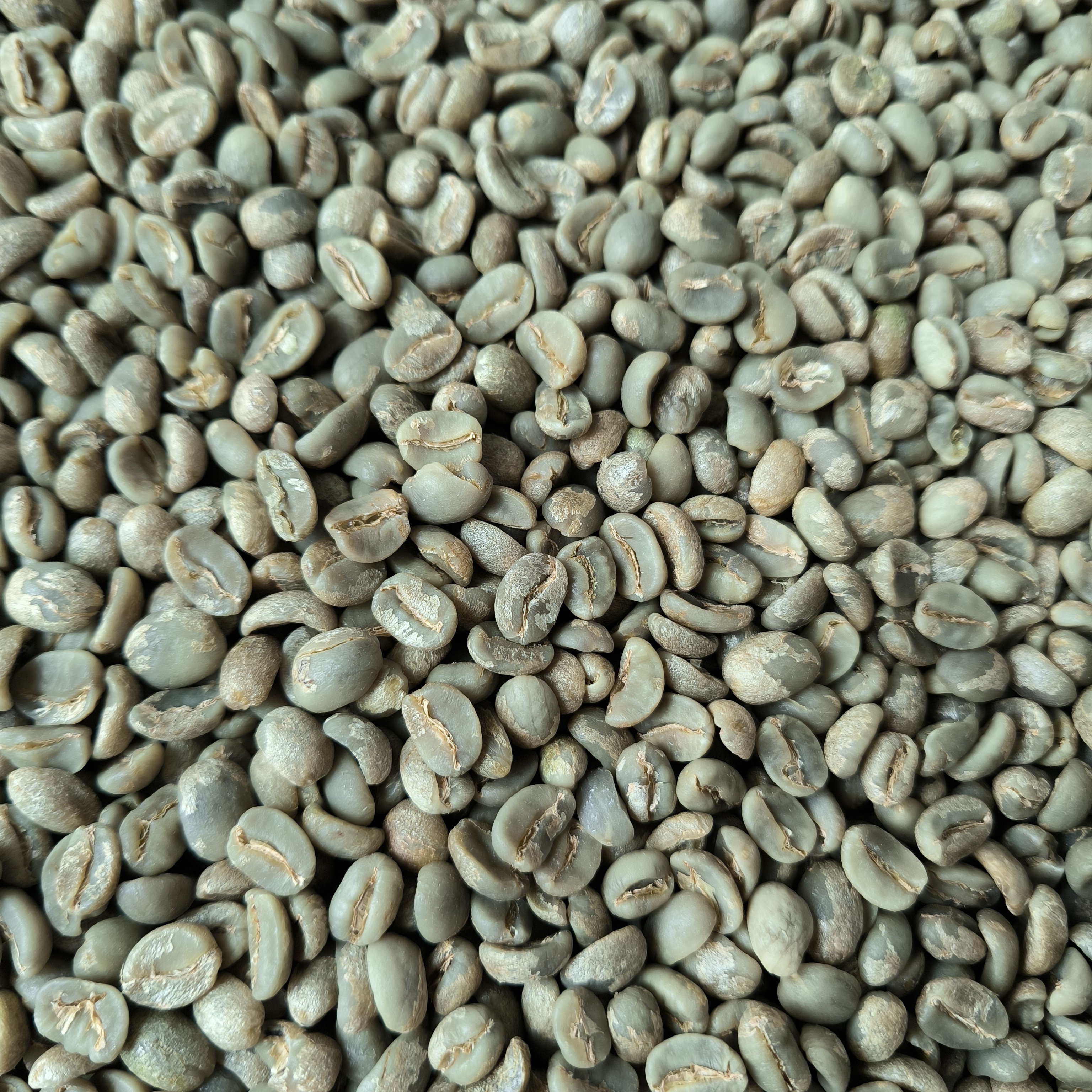 云南保山水洗一级云南咖啡豆精品