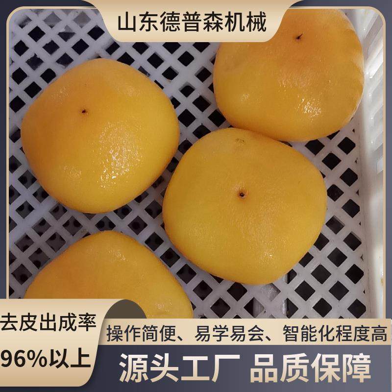 全自动食品脱皮加工流水线设备大型柿子西红柿莲藕蒸汽去皮机,清洗/食品/商业设备,休闲食品加工设备,淘宝优惠券,粉丝福利购,淘宝优惠卷