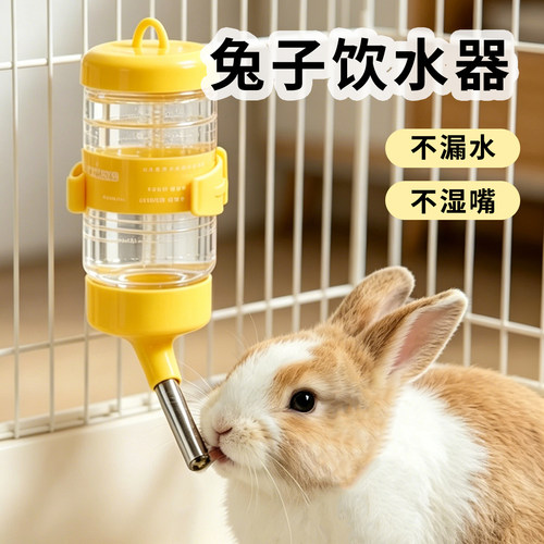 兔子水壶滚珠小宠龙猫专用水碗豚鼠喝水器宠物大容量悬挂式饮水器