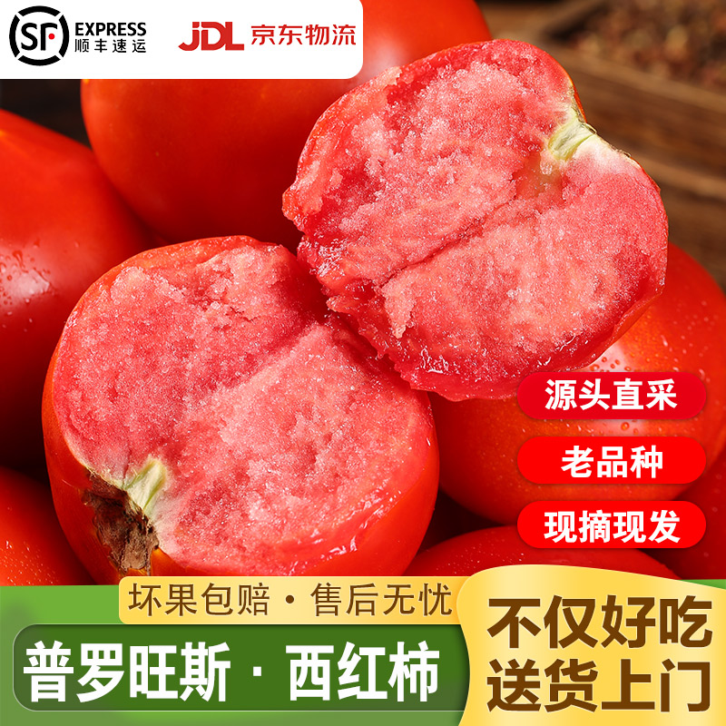 陕西泾阳普罗旺斯西红柿沙瓤图片
