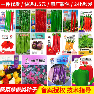 辣椒种子合集种籽二荆条青椒苗秧春季阳台盆栽蔬菜籽种子大全