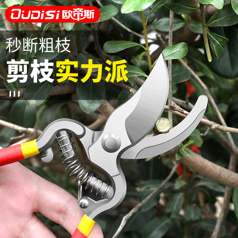 欧帝斯果树修枝剪园林剪树枝专用剪刀园艺剪花剪修剪工具省力剪子