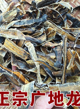 野生广地龙中药材特级地龙干货正品全开整条无泥土蚯蚓白颈广西发