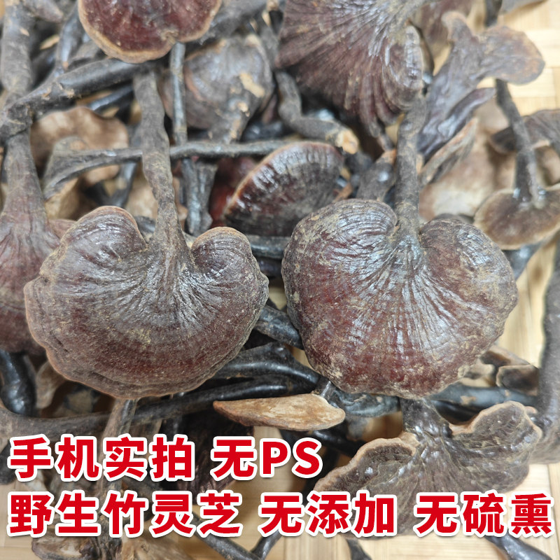 野生竹灵芝干货中药材正品深山特级天然采摘整枝带柄小灵芝泡酒