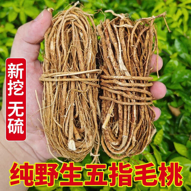 广西野生五指毛桃根正宗新鲜干货土茯苓煲汤料茶特级五爪龙中药材