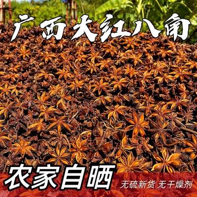 广西精选工艺级大红八角香料大料
