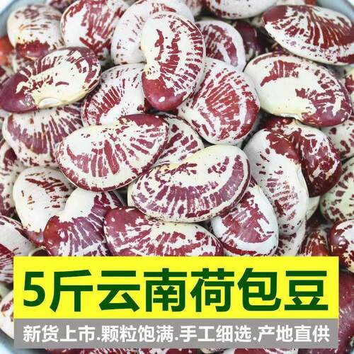 荷包豆大肾豆新货五谷杂粮云南农家自种大芸豆状元豆花腰豆子粗粮