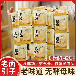 双曲老面引子老面酵母粉面瓜曲酵子传统馒头包子小笼包家用发面
