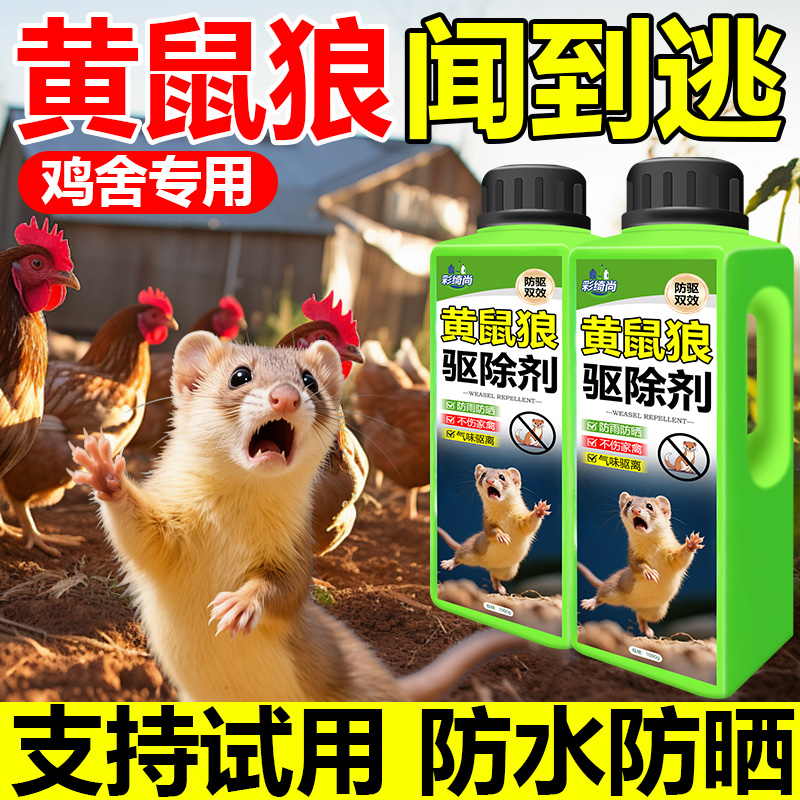 黄鼠狼驱赶粉一撒黄鼠狼不再来