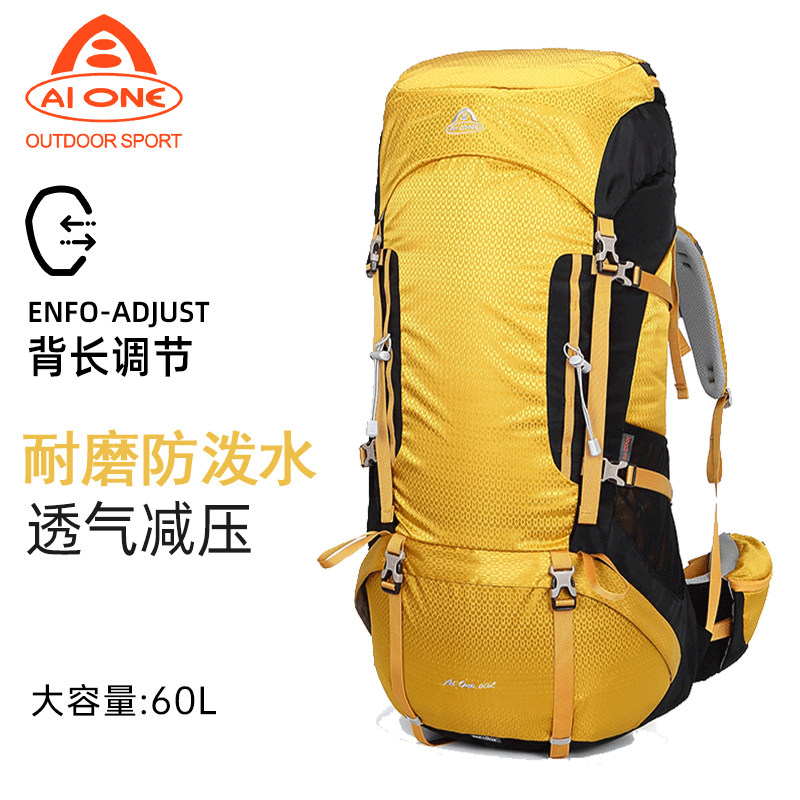 艾王户外专业登山包男女双肩60升大容量重装背包耐磨防泼水旅行包