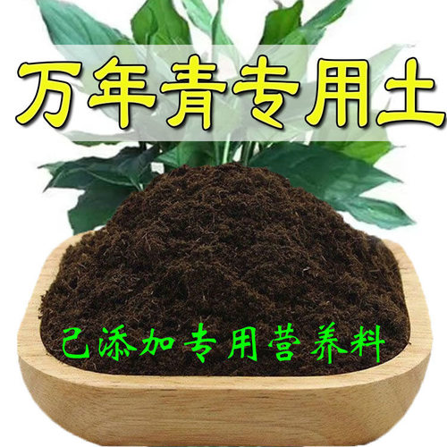 通用营养土通用养花种绿植发酵育苗土盆栽有机肥种菜透气增肥疏松