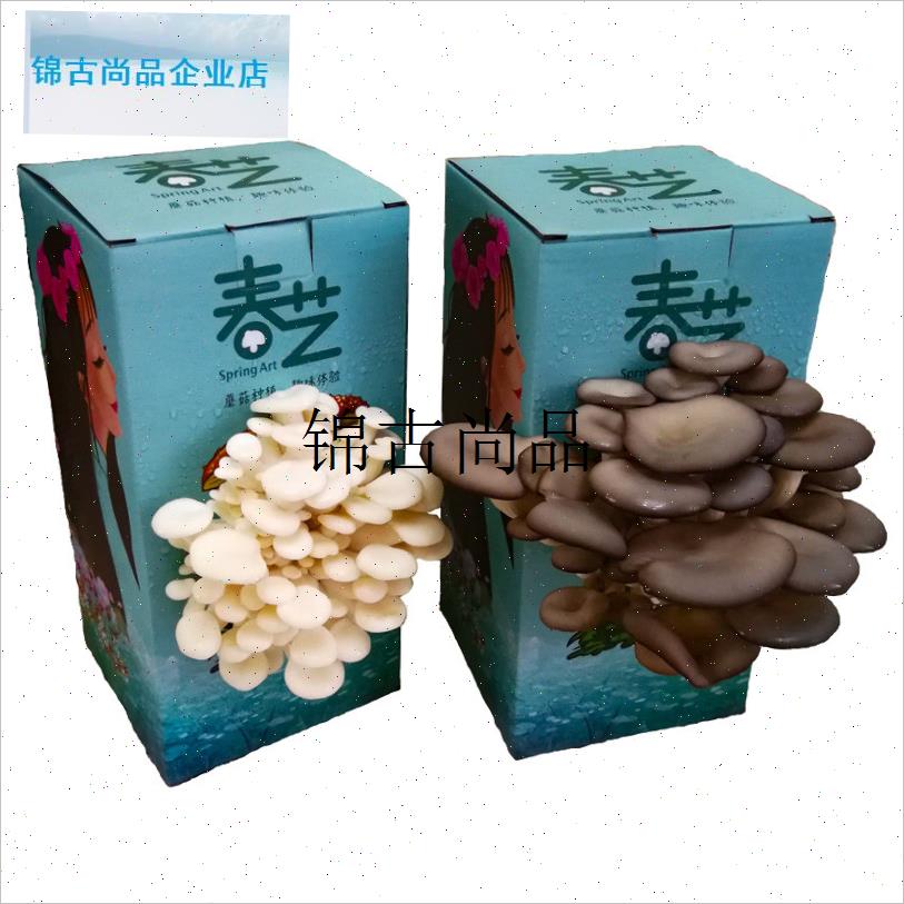 食用菌蘑菇种植包盒子袋桶平菇袋菌包儿Q童礼品家庭盆栽景精,
