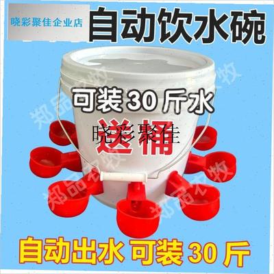 鸡用自动饮水器鸡鸭鸽子饮水碗雏鸡鹌鹑家禽P加水器小鸡喝水饮水l