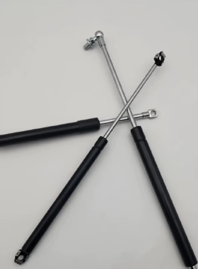 Camloc 气弹簧 RS-234-455-V/20-206178