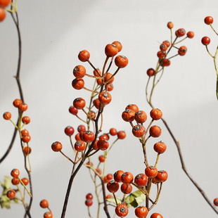 山归来天然植物干花花束客厅摆设侘寂风插花干树枝装饰摆件干枝