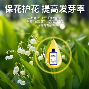 兰花黄叶专用营养液兰花黄叶长黑斑空根烂根软腐病有机肥料专用药