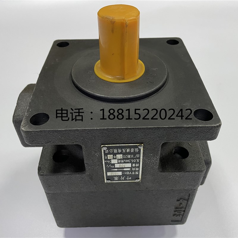 平面磨床油泵M7130 叶片泵YB1-100杭州 M7132B M7140液压泵 M7160