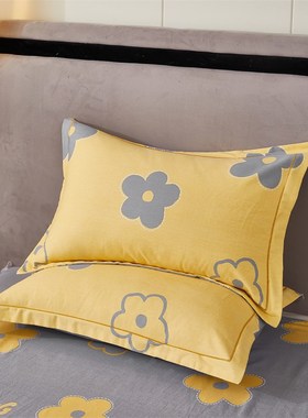 全棉磨毛枕套一对装单人秋冬季纯棉加厚枕头套48x74cm枕芯内胆套2