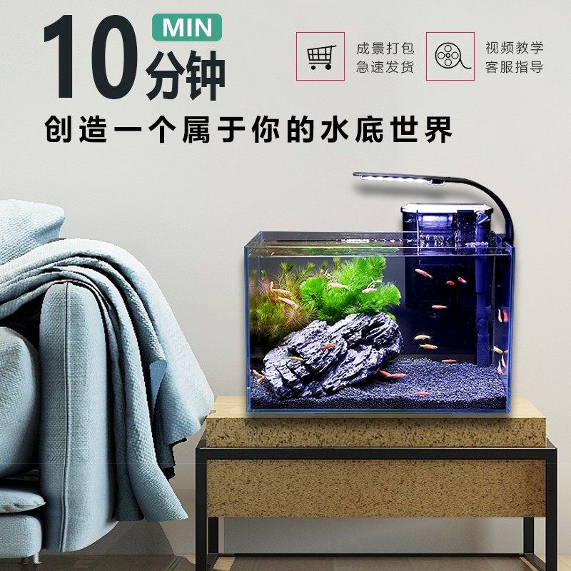 超白鱼缸小型生态缸造景全套客厅电视柜旁懒人免换水创意家用桌面,宠物/宠物食品及用品,桌面缸,淘宝优惠券,粉丝福利购,淘宝优惠卷