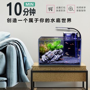 超白鱼缸小型生态缸造景全套客厅电视柜旁懒人免换水创意家用桌面