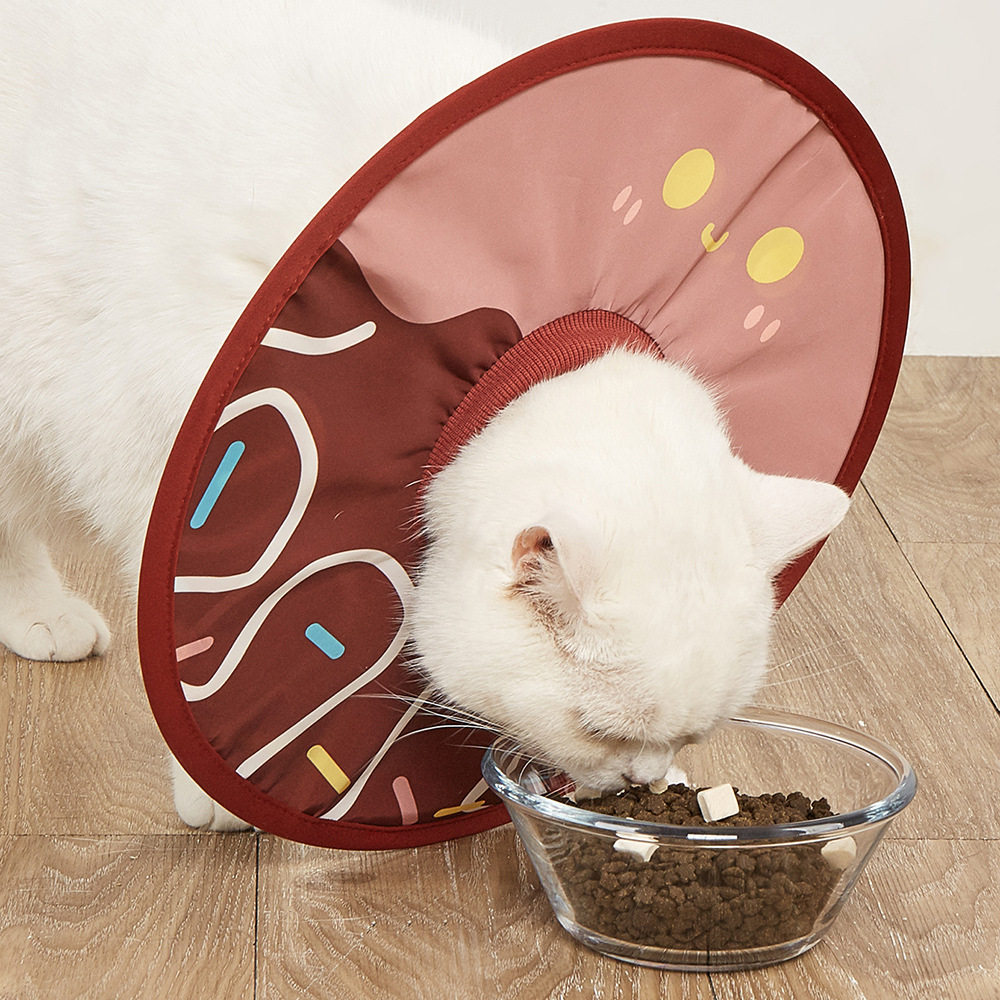 伊丽莎白圈狗宠物防舔头套轻薄防水绝育耻辱圈透气网布防咬猫项圈,宠物/宠物食品及用品,宠物伊丽莎白圈,淘宝优惠券,粉丝福利购,淘宝优惠卷