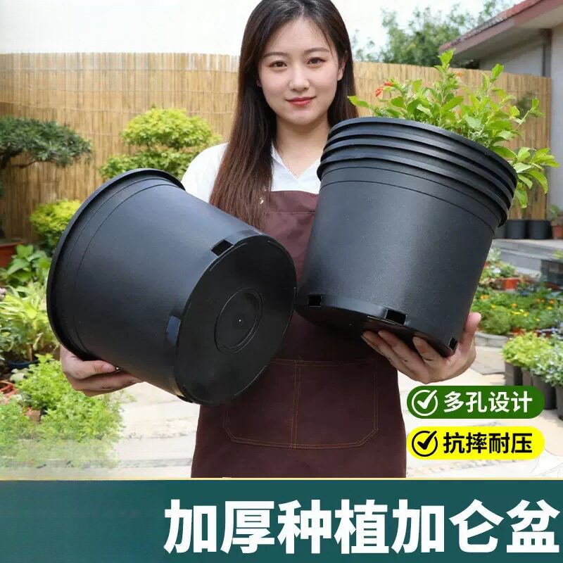 加厚侧孔黑色加仑盆塑料花盆批发花盆月季阳台客厅树脂花盆特大号