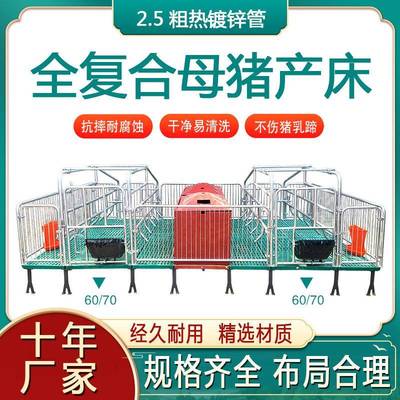 带粪板母猪限位栏落地式简易产床栏加厚热镀锌母猪定位栏养殖设备