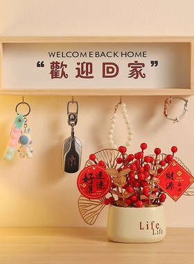 欢迎回家入户门口放钥匙收纳神器挂钩免打孔装饰墙壁上玄关置物架