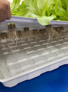 1.2米28孔1.532无土栽培潮汐花盆水培育苗温室大棚种植